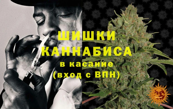 молекула духа Гусиноозёрск
