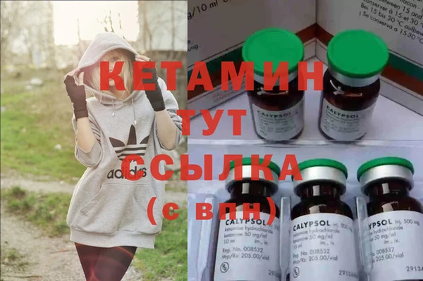 индика Болхов