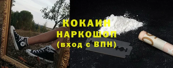 молекула духа Гусиноозёрск