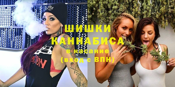 хмурый Гусев