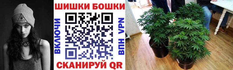 KRAKEN зеркало  Заволжье  Бошки марихуана THC 21%  наркота 